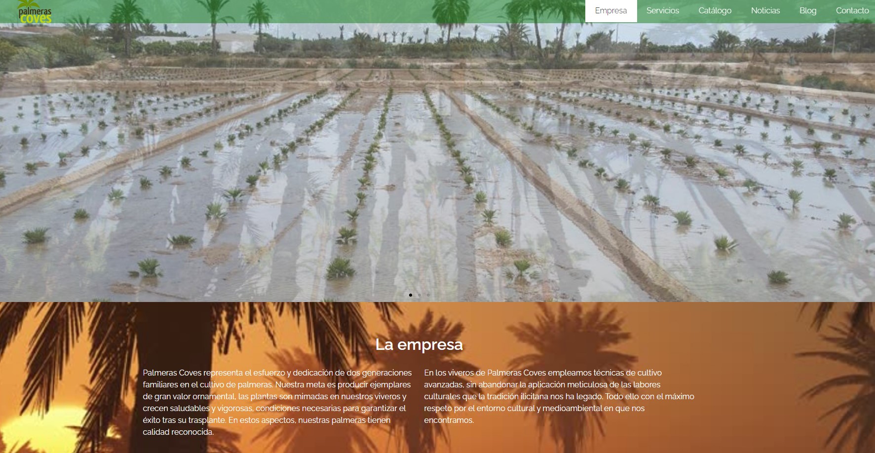 Palmeras Coves representa el esfuerzo y dedicación de dos generaciones familiares en el cultivo de palmeras.